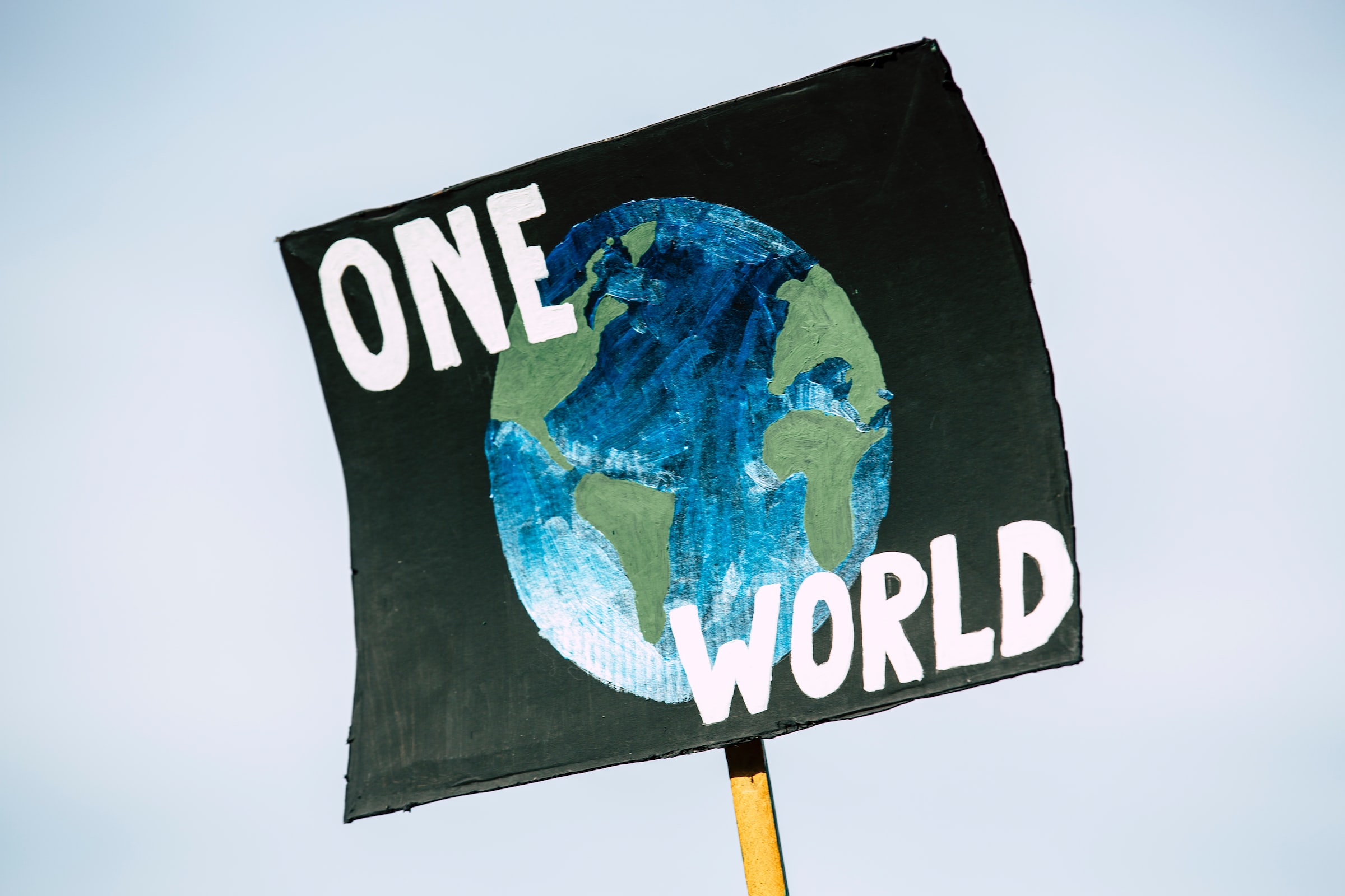 A poster at a climate protest with an image of the earth and the words "one world"