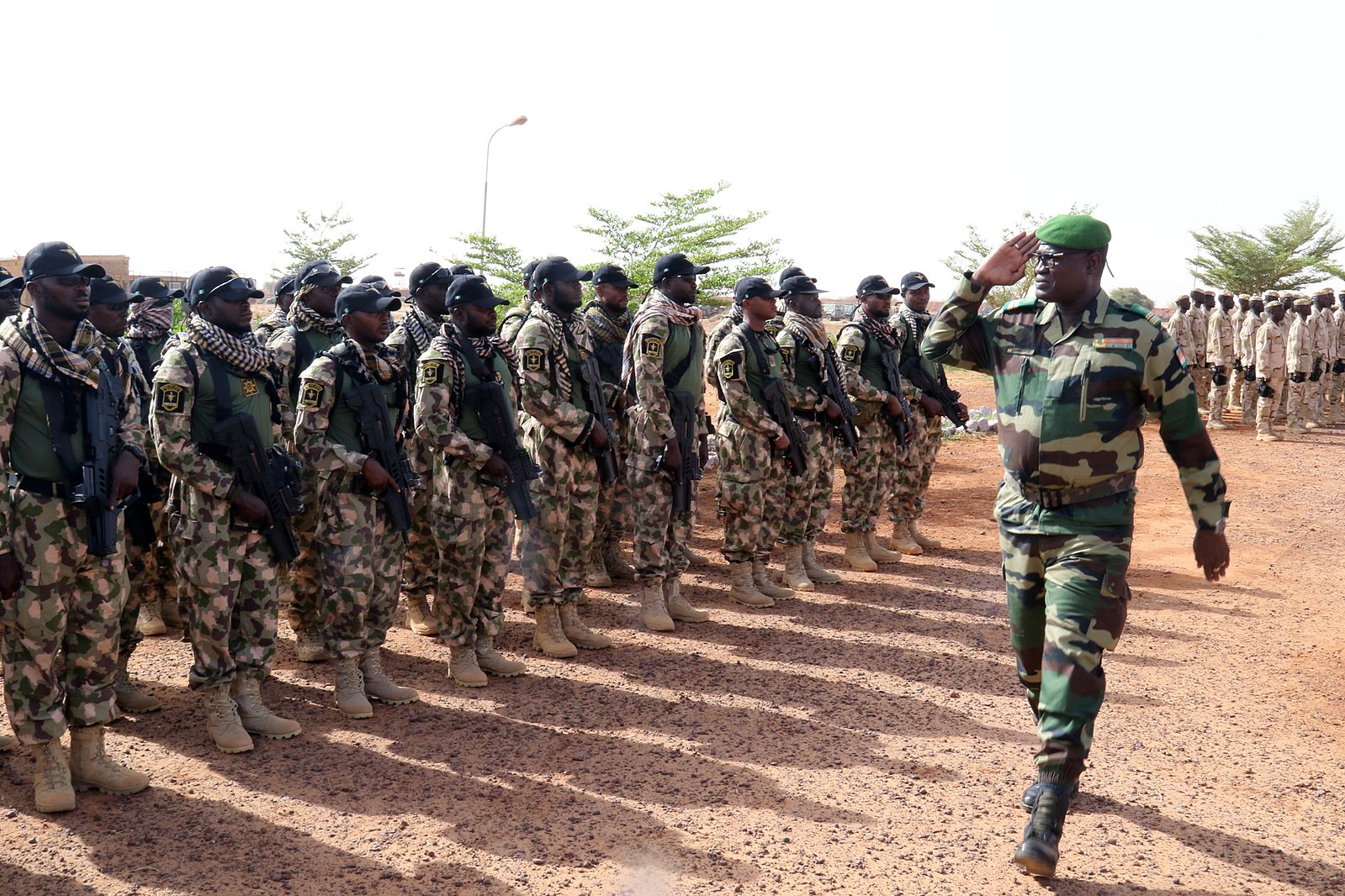 Nigerien troops standing in formation outside in the Sahara desertwhile being inspected before a training exercise in 2017.