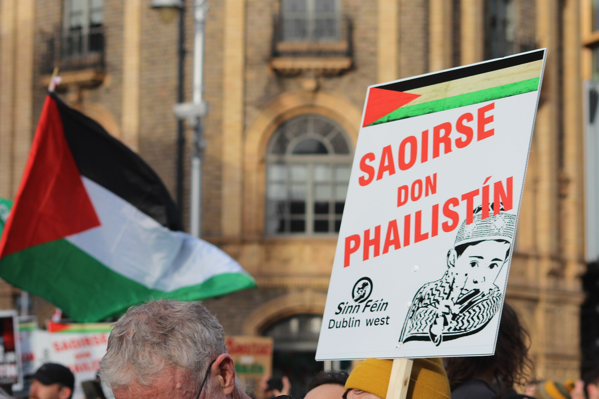 A sign at a rally in Ireland reading "Freedom for Palestine"