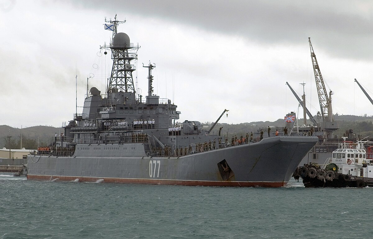 A Ropucha-class ship, a similar model to the one attacked in recent Ukrainian strikes. This specific ship was photographed in 2006.