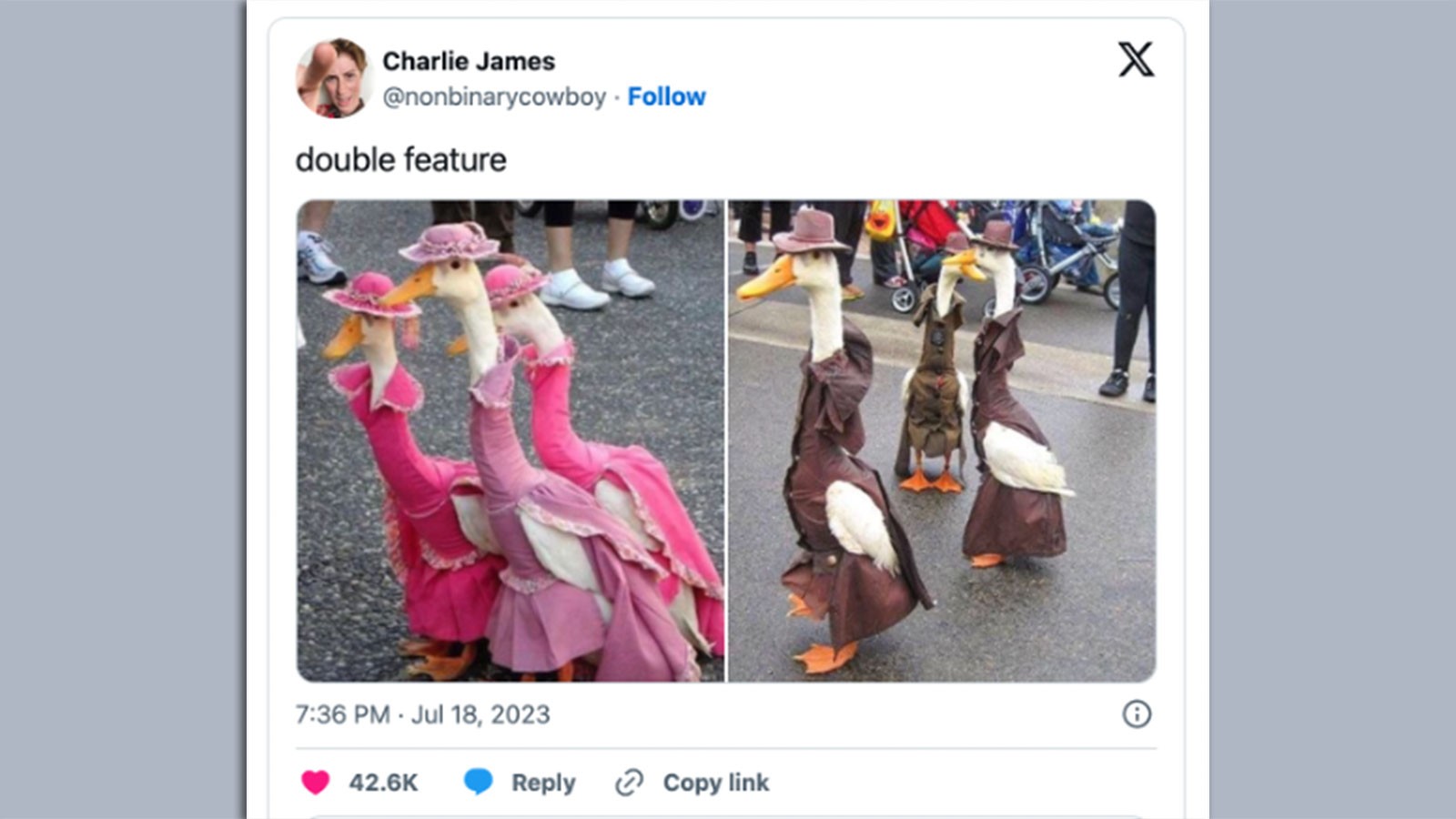 "Double feature" geese dressed in pink and brown for Barbenheimer