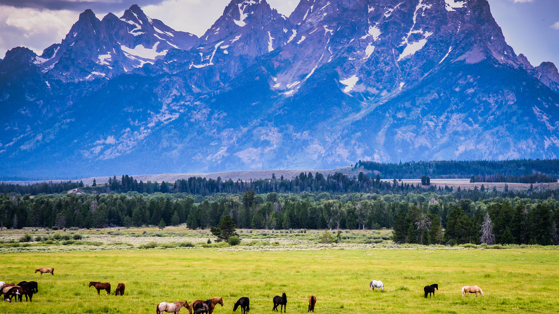 A view of the mighty Tetons from the Triangle X Ranch in Grand Teton National Park.