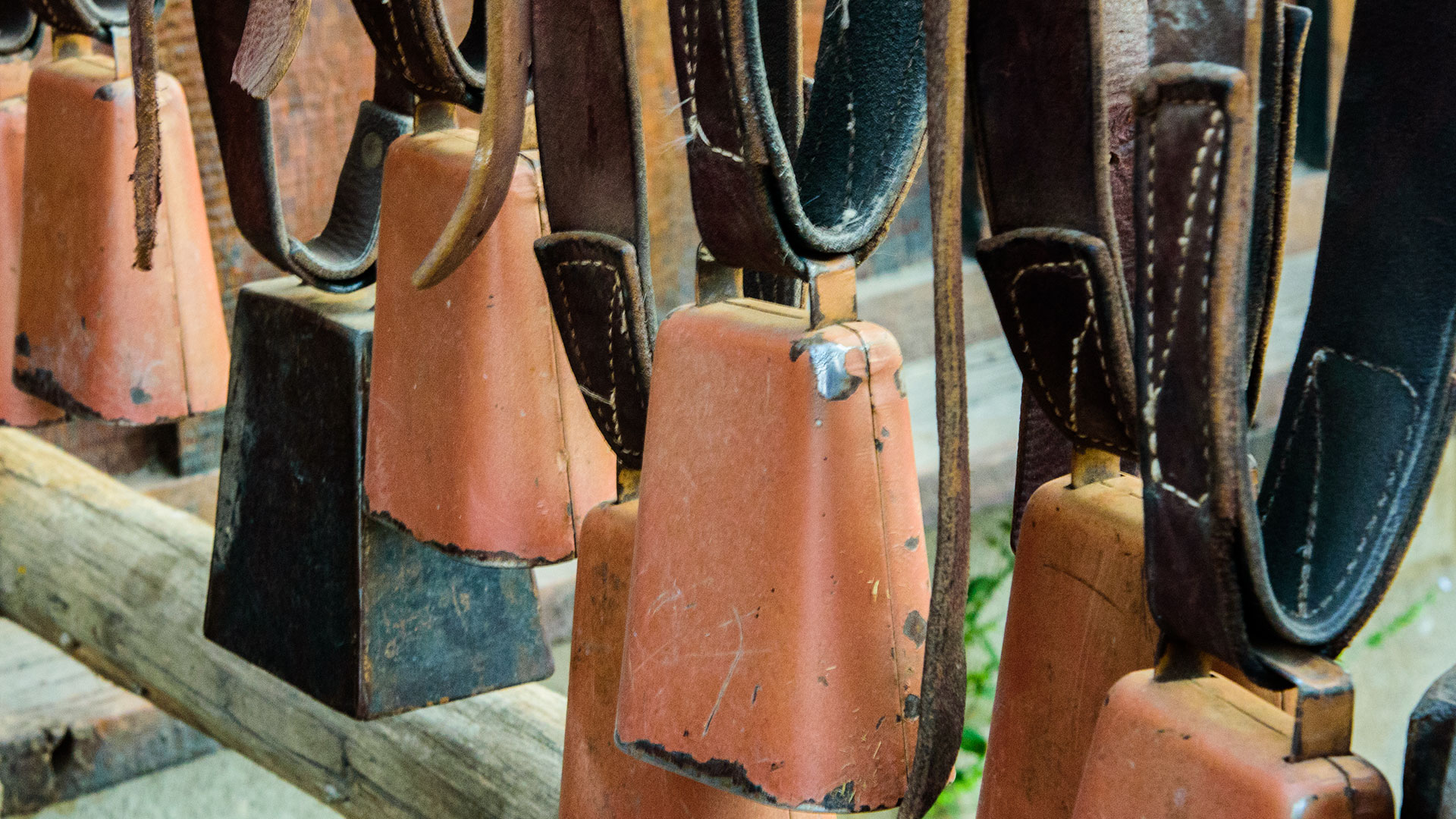 A row of hanging cow bells