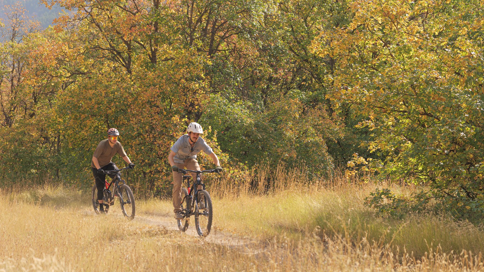 Two bicyclists sporting helmets and gloves peddle down a trail through a grassy field next to yellow-leaved trees.