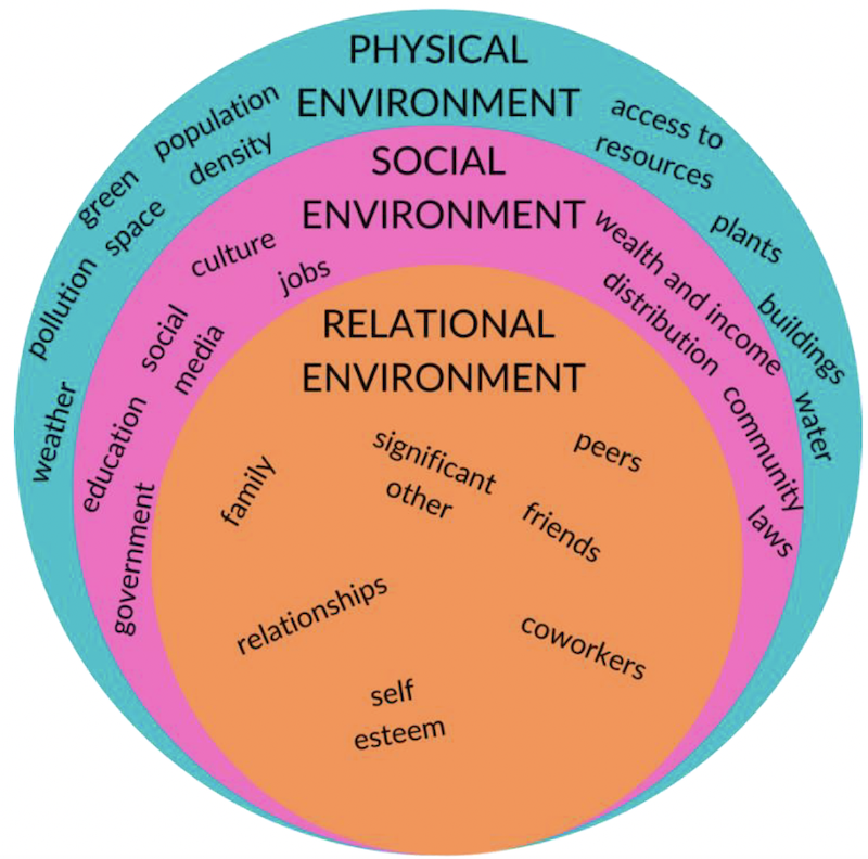 A circle with three rings: In the outer circle: Physical environment. Access to resources, plants, buildings, water, weather pollution, green space, population density. In the middle circle: Social Environment. Government, education, culture, social media, jobs, wealth and income distribution, community, laws. In the inner circle: Relational Environment. Family, significant other, peers, friends, relationships, coworkers, self-esteem.