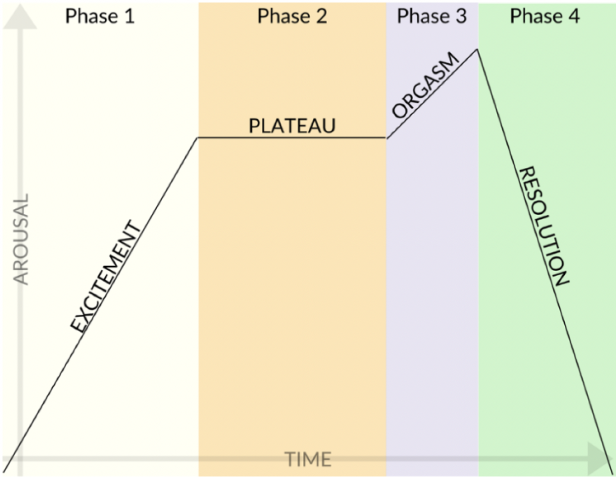 Chart with "arousal" on the left axis and "time" on the bottom axis. Line with arrow rising through Phase 1, "excitement," flattening through Phase 2, "plateau," spiking in Phase 3, "orgasm," and descending in Phase 4, "Resolution"